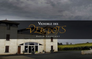 Vignoble à Bergerac